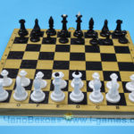Шахматы + шашки (набор 2 в 1)